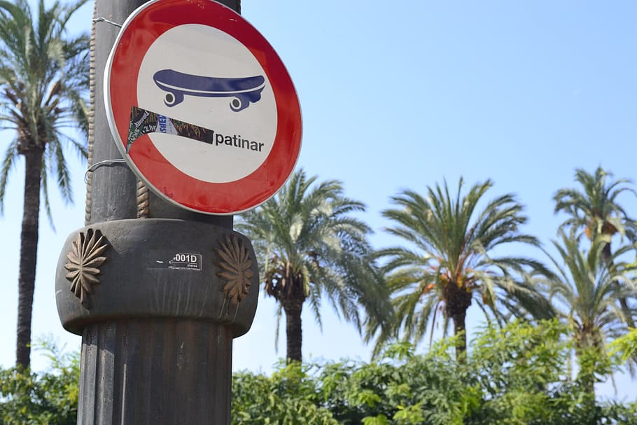 board, spain, skate, communication, sign, tree, palm tree, text HD wallpaper
