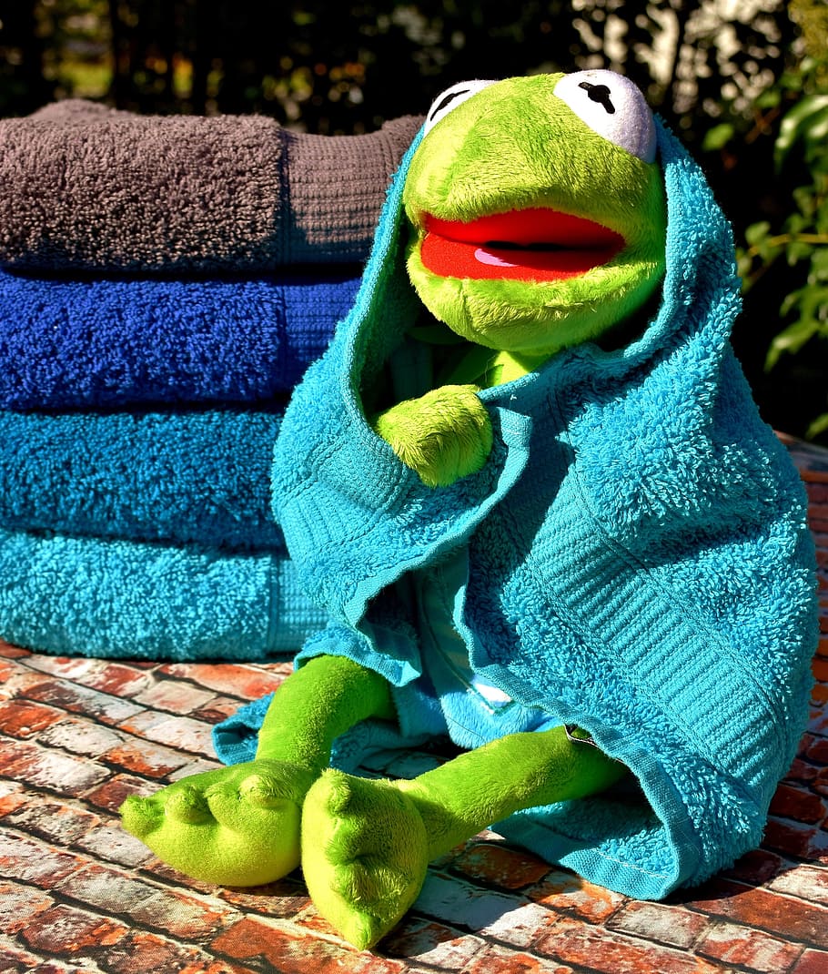 Hd Wallpaper Kermit The Frog Plush Toy Covered With Blue Body Towel Towels Wallpaper Flare