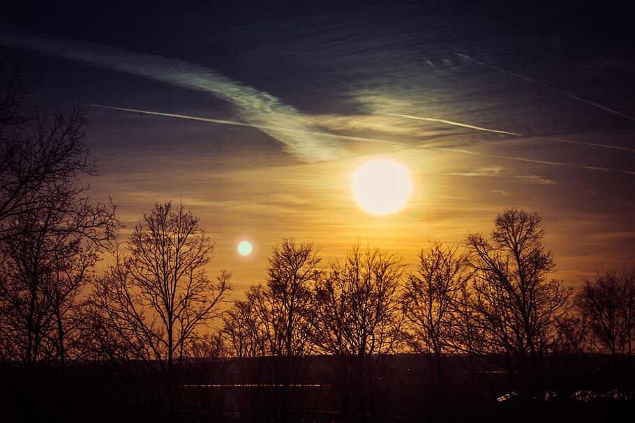 Sunset, Trees, Evening, Holidays, england, sky, nature, sunlight HD wallpaper