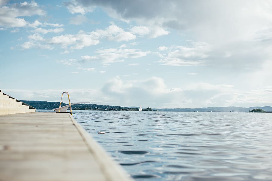 selective-focus photography of body of water, dive, swim, ocean HD wallpaper