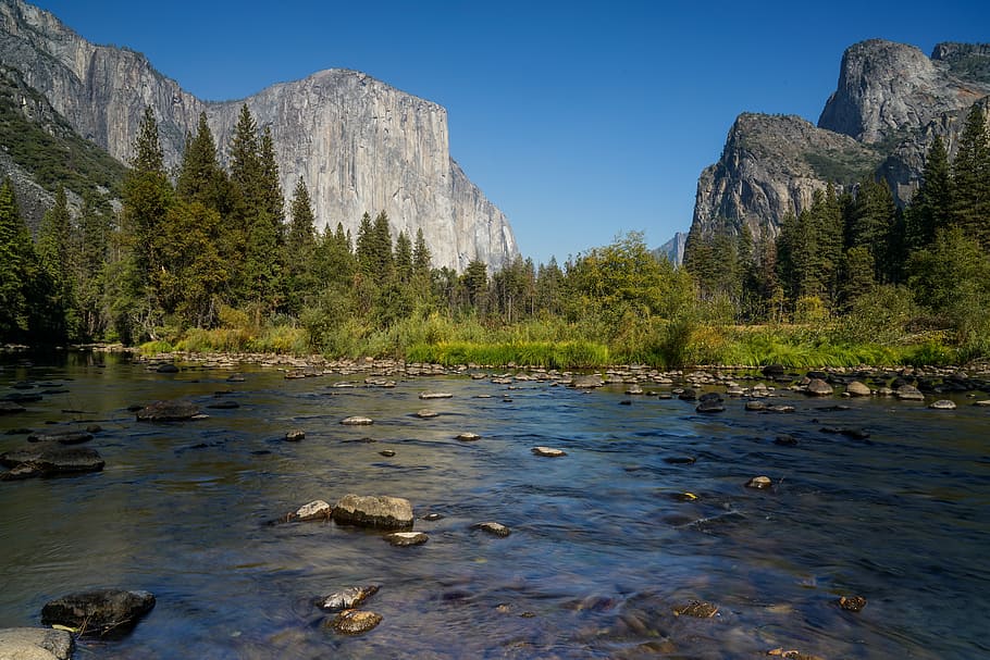 river in forest near rock formations, rocks in body of water HD wallpaper