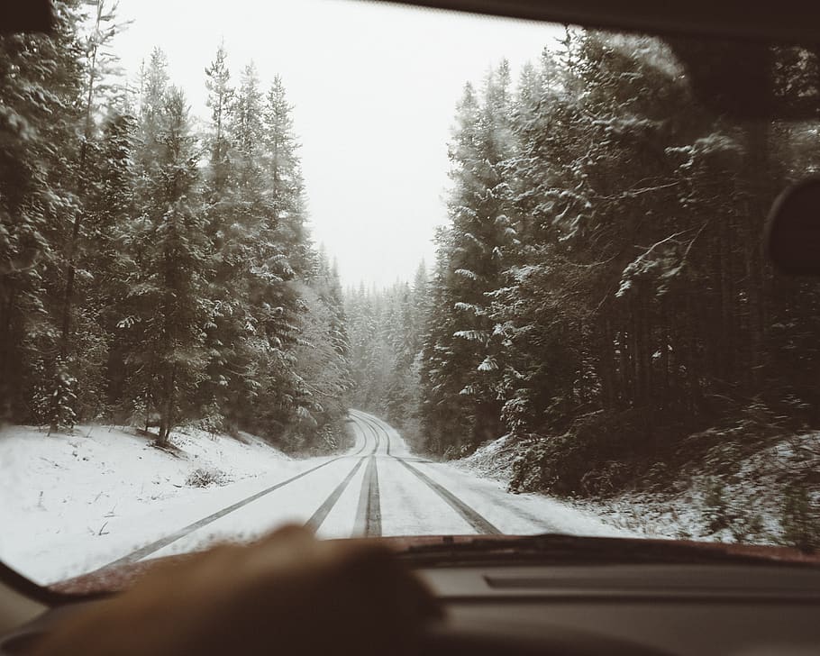 road, path, snow, winter, trees, plant, nature, forest, car HD wallpaper