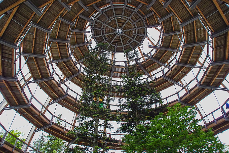 Treetop, Path, Building, Trees, Dome, treetop path, architecture HD wallpaper