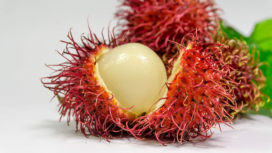 close-up of rambutan fruit, Background, Fresh, white, red, food HD wallpaper