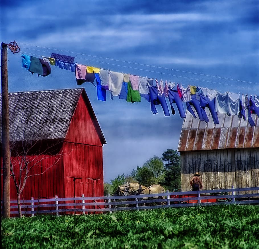 assorted-color clothes hanging on wire in daytime, amish farm