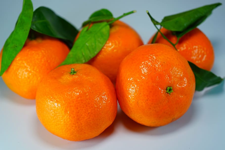 five orange fruits, oranges, tangerines, clementines, citrus fruit