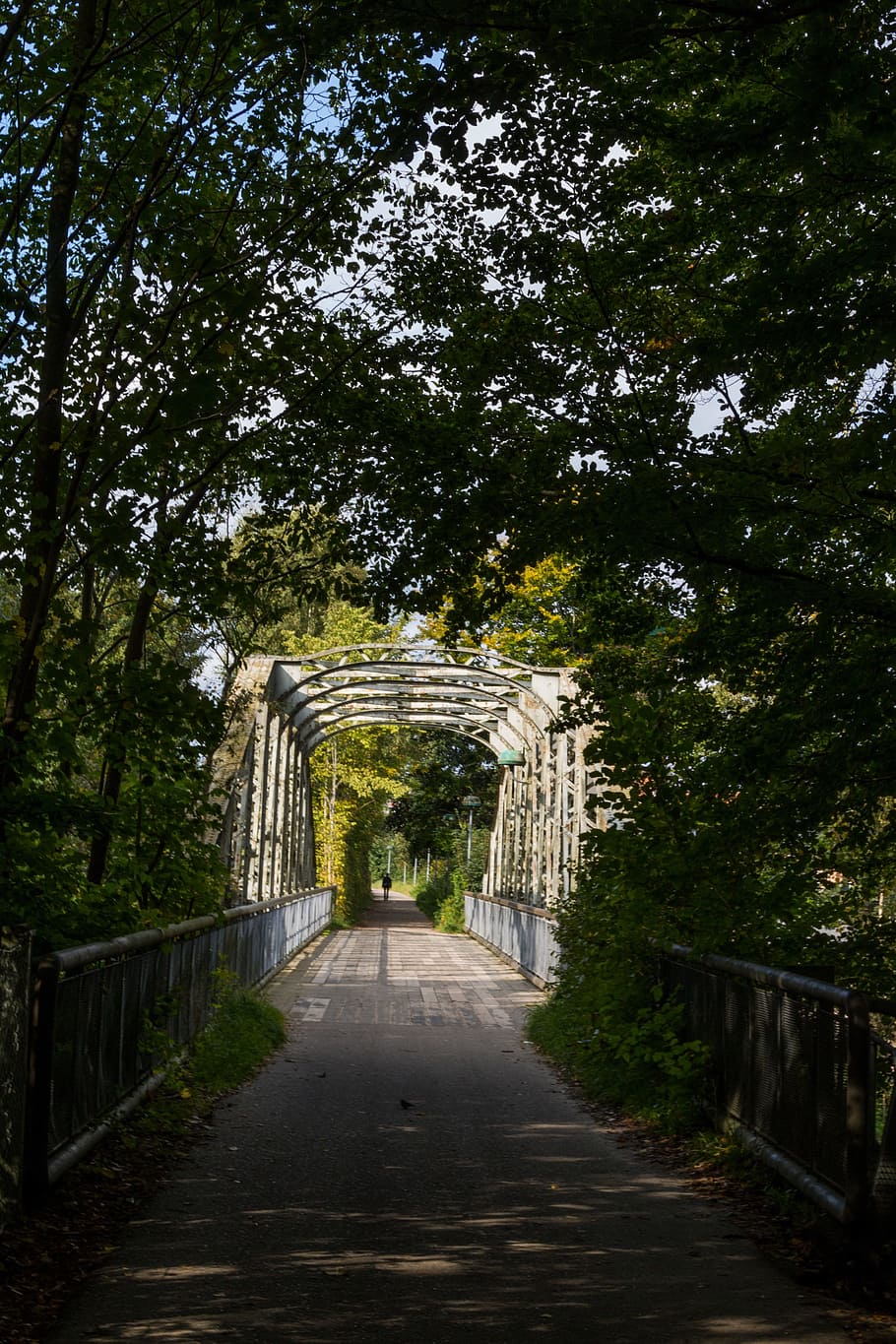 bridge, forest, footpath, autumn, perspective, direction, the way forward HD wallpaper