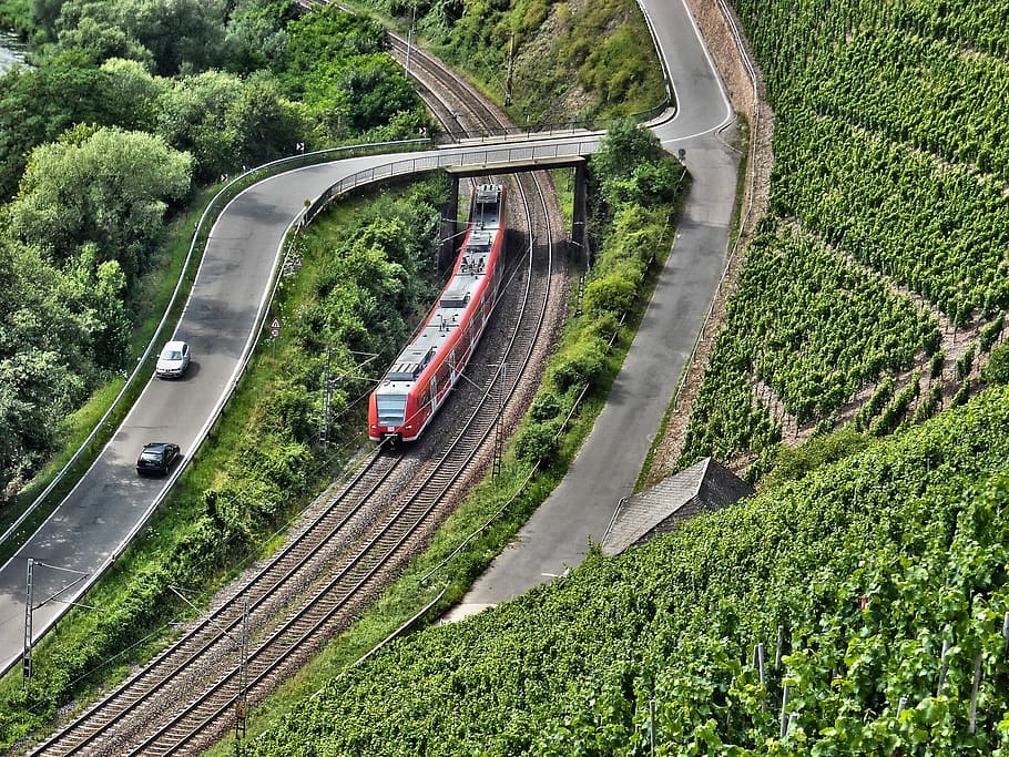 Landscape, Train, Railway, Vineyard, saar, nature, transportation HD wallpaper