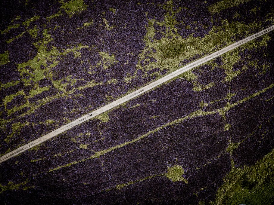 aerial view of pathway, untitled, heather, moorland, line, road HD wallpaper