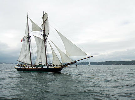 sailboat, former, brest, nautical Vessel, sailing, sailing Ship HD wallpaper