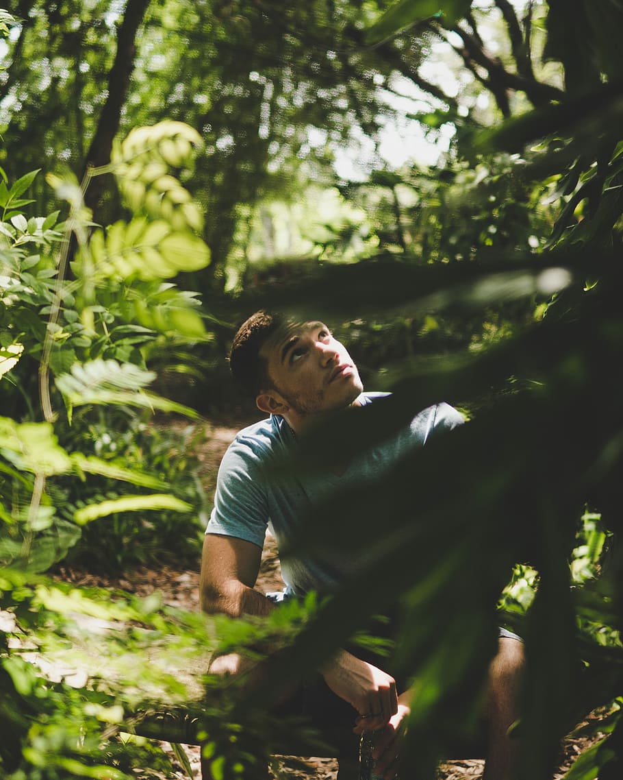 man sitting beside green trees during daytime, man sitting in the middle of the forest