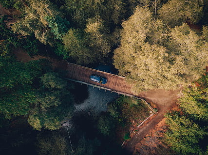 aerial photo of blue car crossing bridge, aerial photo of blue car on bridge near trees HD wallpaper
