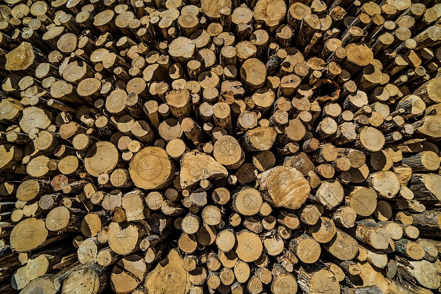 firewood stock, lumber, timber, texture, grain, logs, pattern HD wallpaper