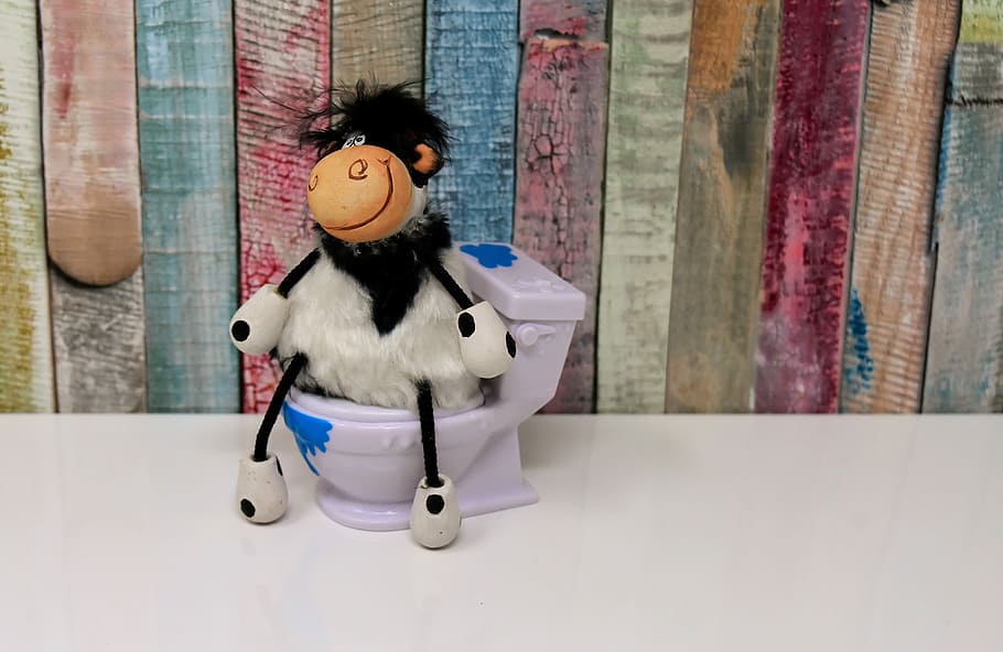 toilet, cow, figure, loo, cute, funny, wc, session, representation