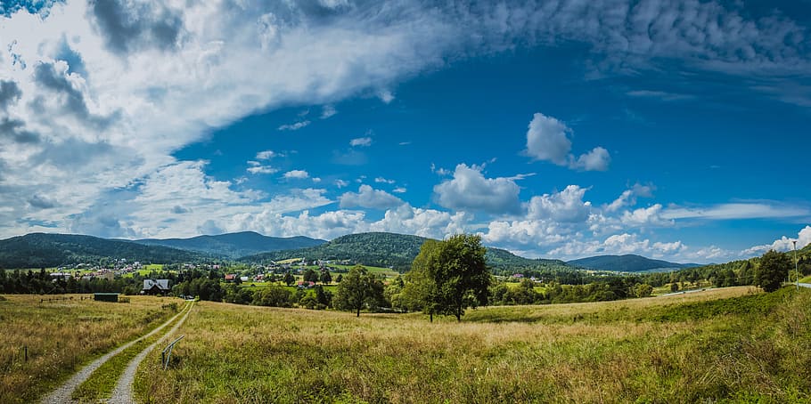 green field with trees under blue sky during daytime, mountain HD wallpaper