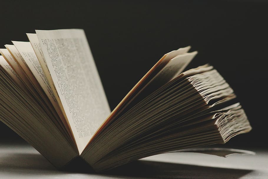 opened book, selective focus photo of opened book, read, page HD wallpaper