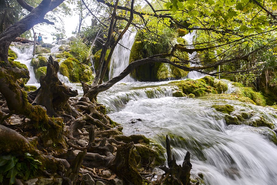 water fall, woods, environment, landscape, nature, forest, river HD wallpaper