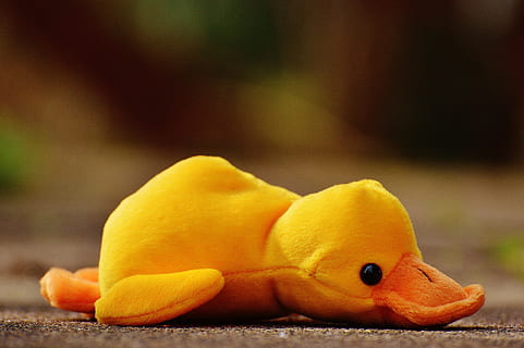 Hd Wallpaper Duck Funny Soft Toy Toys Children Cute Play Sweet Stuffed Animal Wallpaper Flare