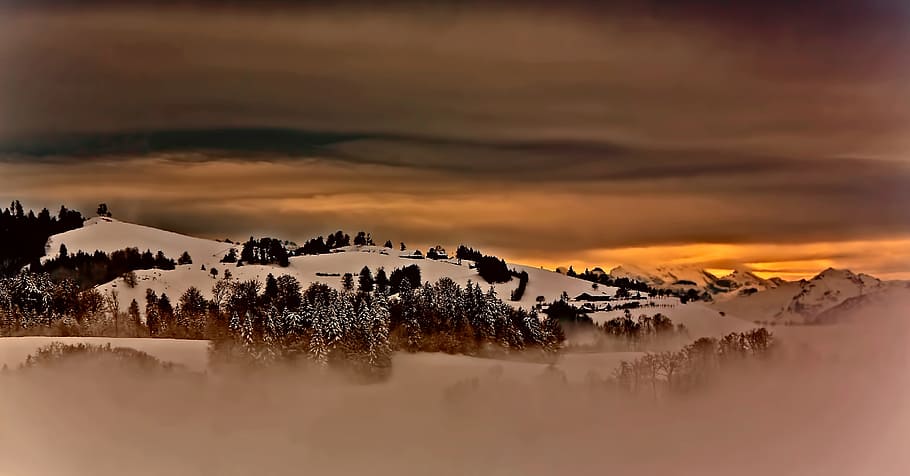 forest covered by snow, photo of glacier mountain with green trees during golden hour HD wallpaper