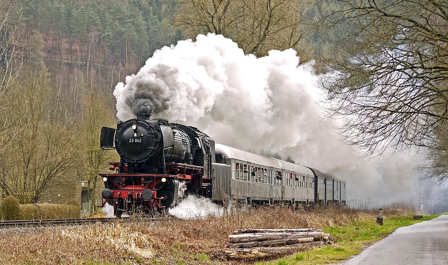 gray and black train near green tall tress, locomotive, track