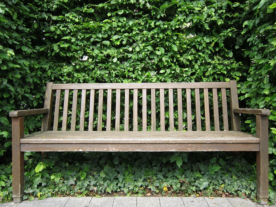 wooden bench near tree, bank, nature, seat, click, rest, out