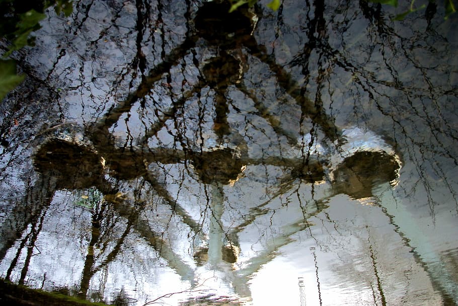 Atomium, Architecture, Reflection, no people, tree, low angle view HD wallpaper