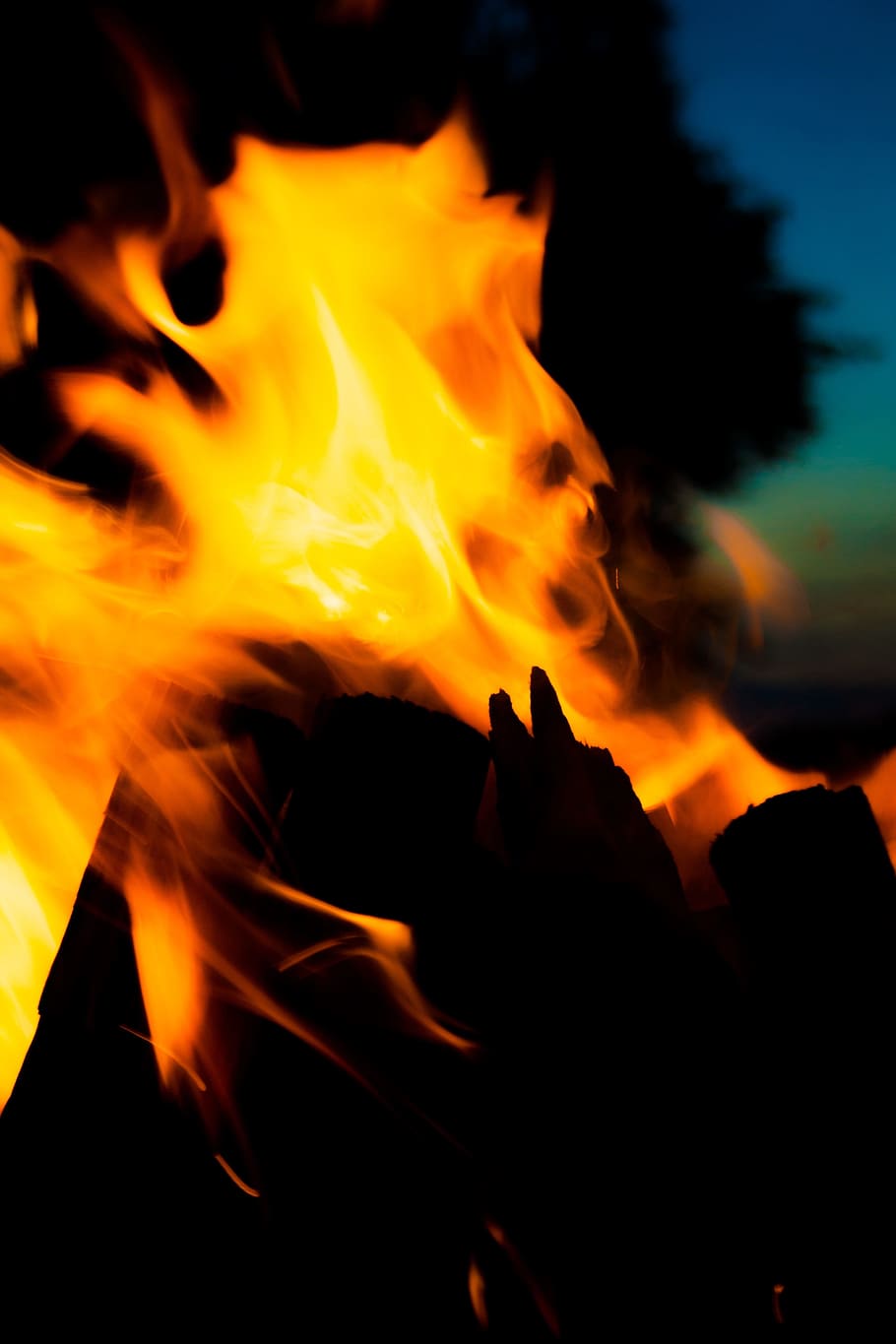 Fire, Campfire, Flame, bright, blaze flame, lighting, fire - Natural Phenomenon HD wallpaper