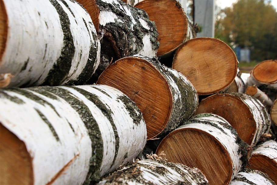 logs, hack, birch logs, pile, firewood, wood - material, large group of objects HD wallpaper