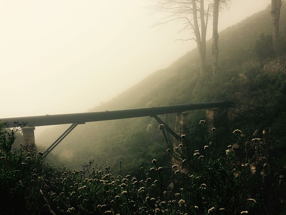 photo of foggy mountain with bridge, pipe, nature, tree, mist HD wallpaper