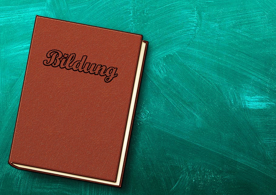 brown Bildung book clip art illustration, education, board, book cover, HD wallpaper