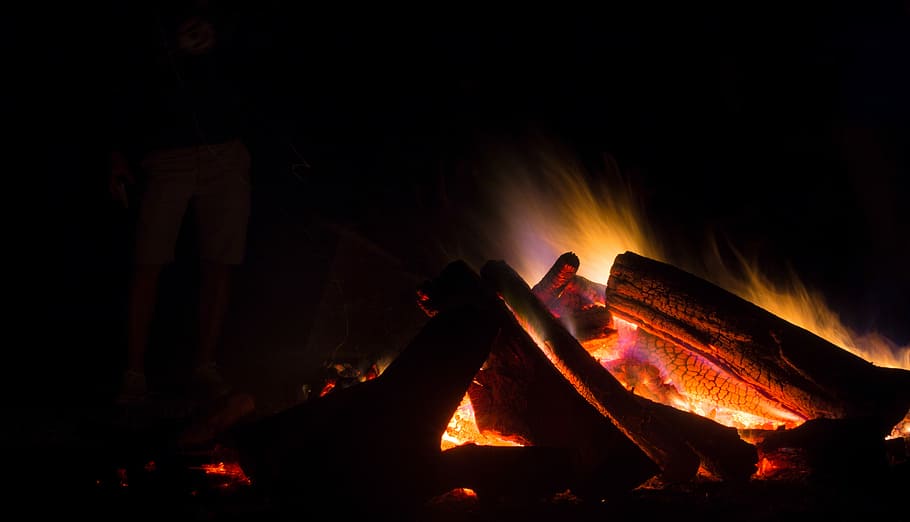 bon fire, flamed bonfire during night time, campfire, log, dark HD wallpaper