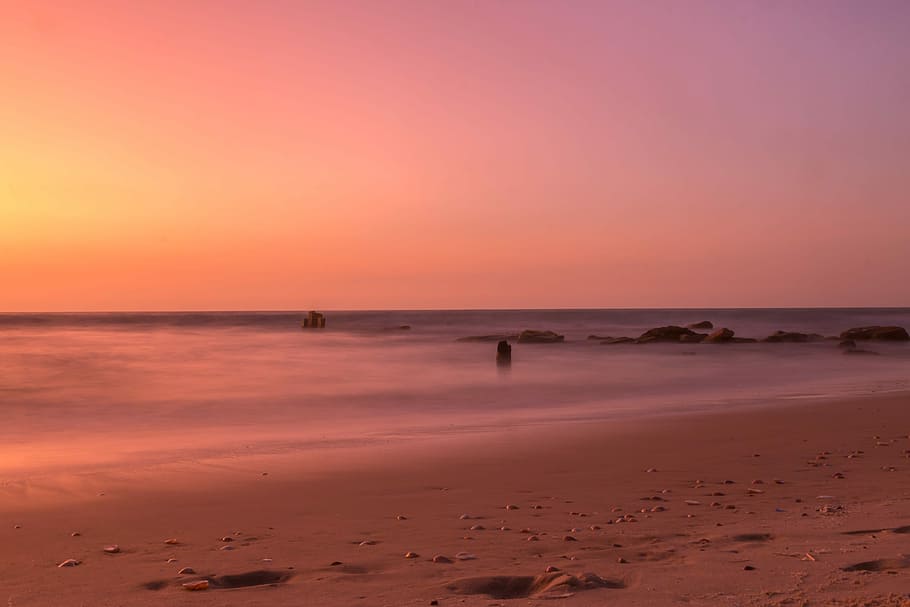 ocean horizon, seashore during golden hour, sand, beach, water HD wallpaper