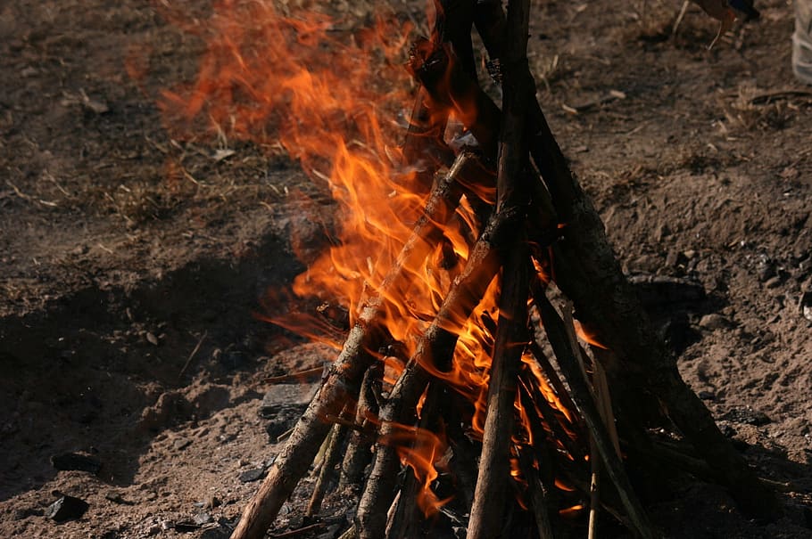 campfire, wood, burning, heat - temperature, fire - natural phenomenon HD wallpaper