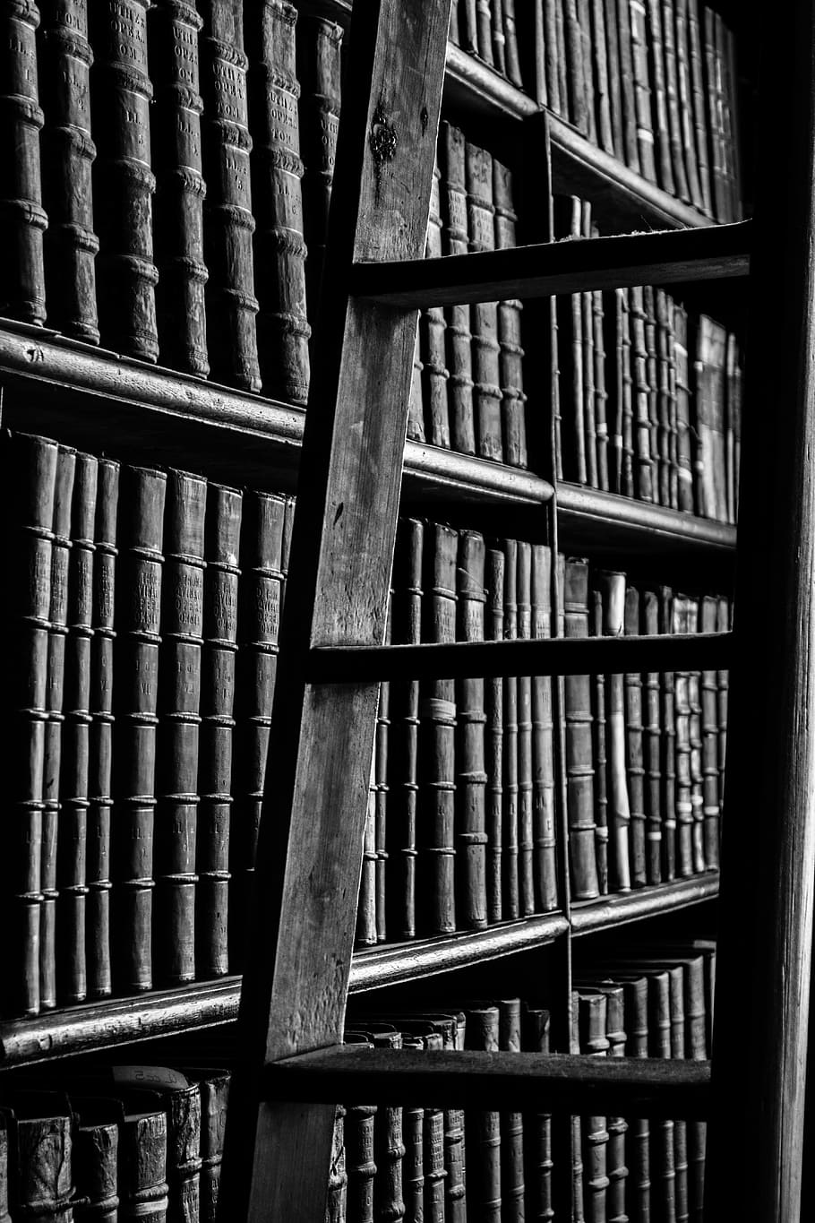 Hd Wallpaper Grayscale Photography Of Ladder Near Bookshelf