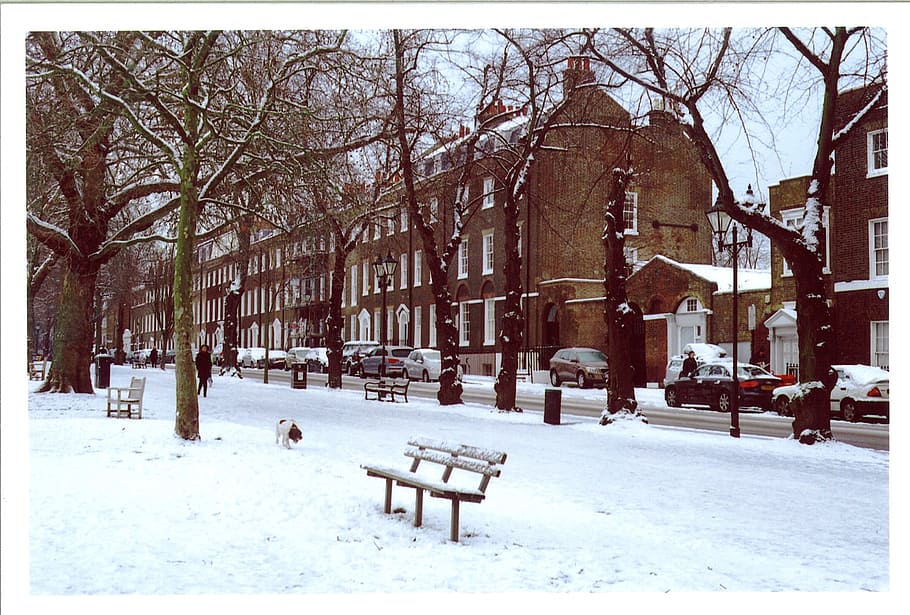 brown concrete houses covered with snow during daytime, london, HD wallpaper