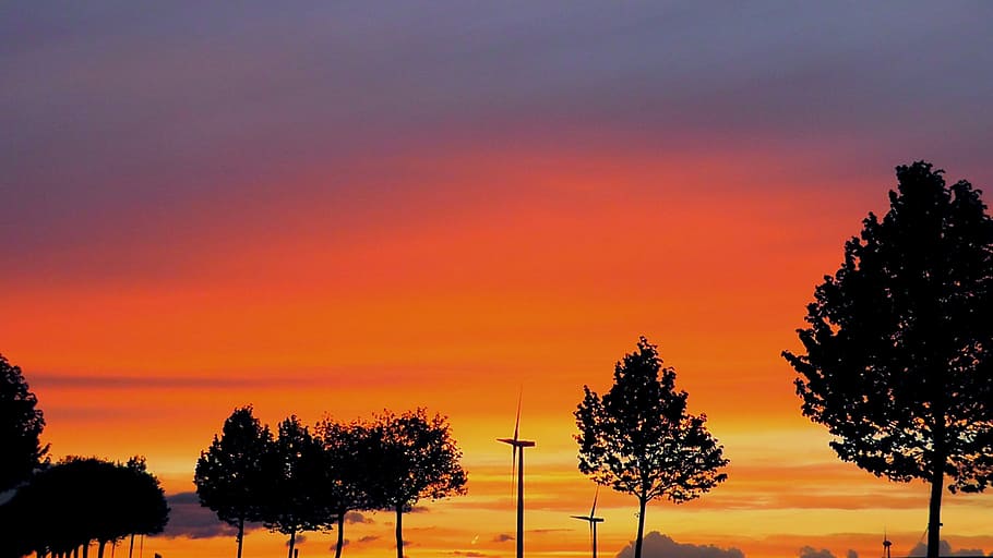 summer evening, atmosphere, twilight, sky, mood, background HD wallpaper