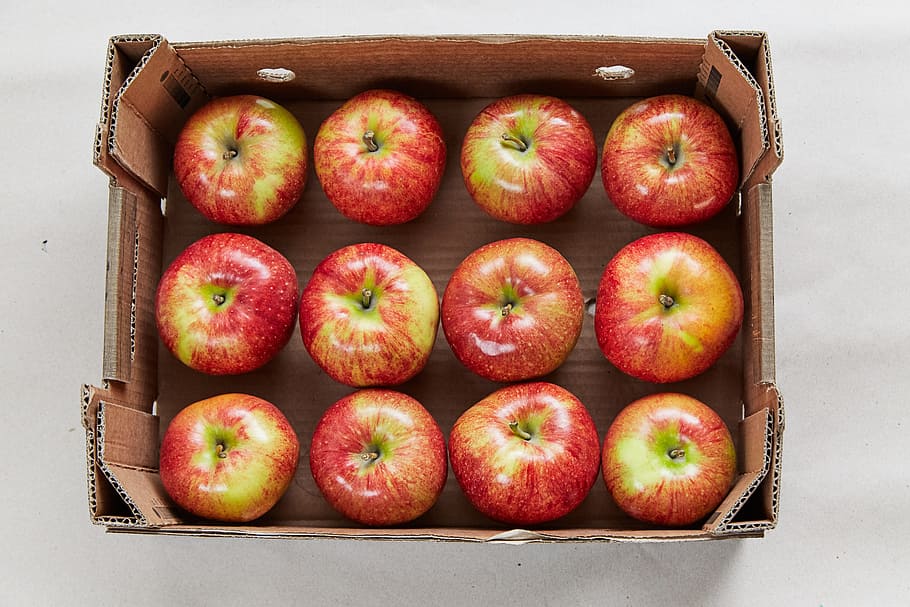 apples, fruit, red apple, nature, apple orchard, closeup, healthy eating HD wallpaper