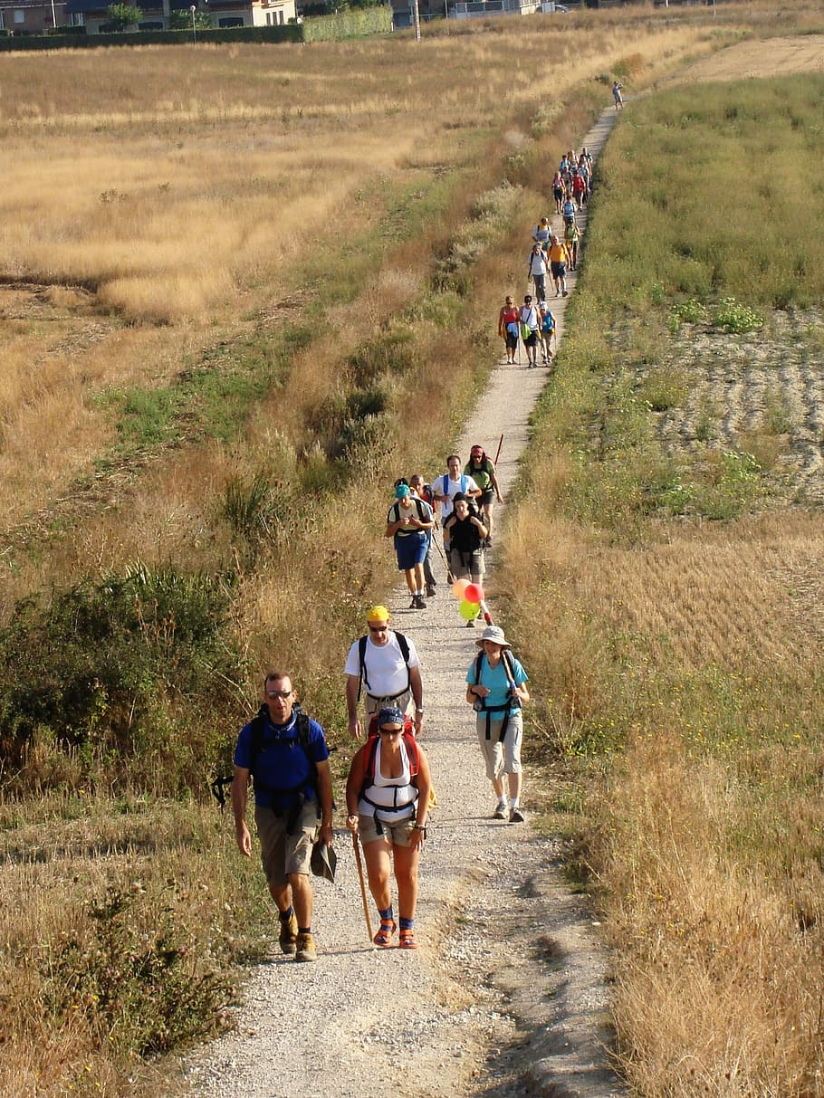 group of people walking during daytime, Camino, Santiago, Galicia, HD wallpaper
