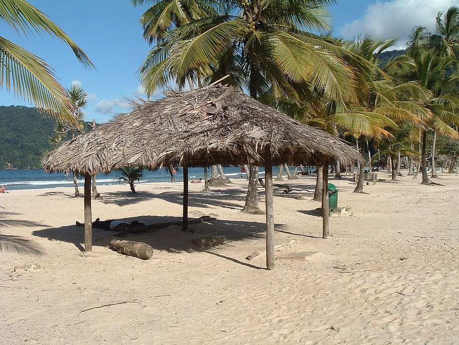 trinidad, ocean, beach, thatched roof, land, sand, tropical climate HD wallpaper