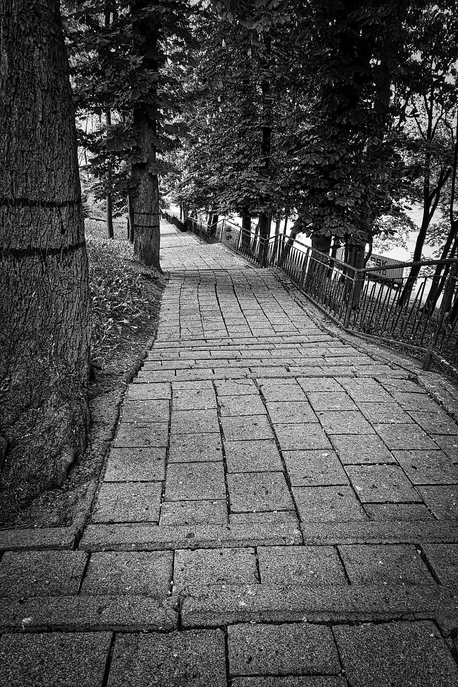 path, perspective, walkway, direction, pathway, countryside HD wallpaper