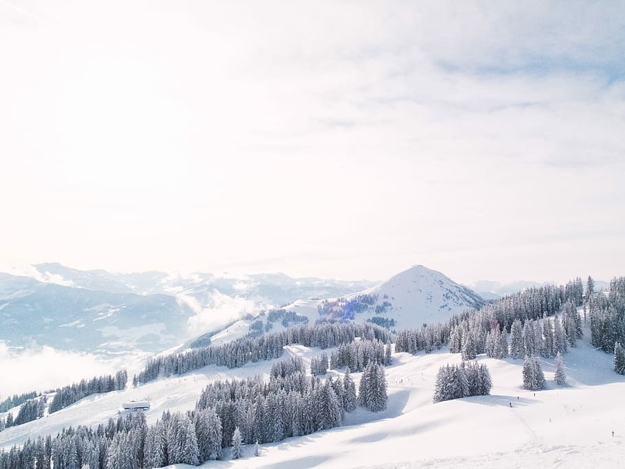 aerial photography of mountain covered with snow, trees on mountain covered by snow HD wallpaper