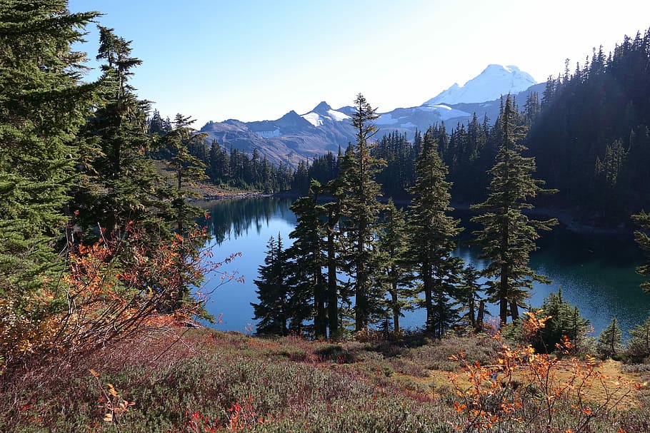 mountain near the lake, nature, landscape, scenics, water, forest HD wallpaper