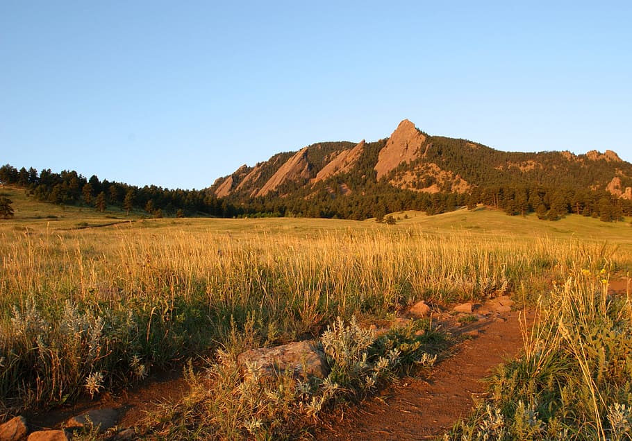 Mountain, Trail, Hiking, Flatirons, morning, landscape, outdoors HD wallpaper