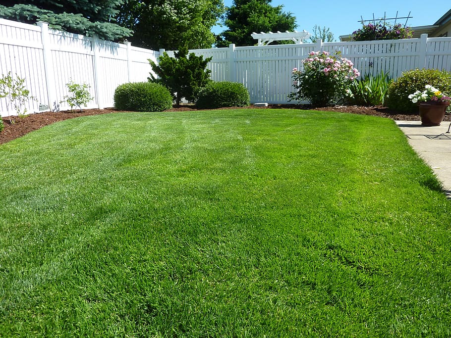 green grass field during daytime, back yard, vinyl fence, nature