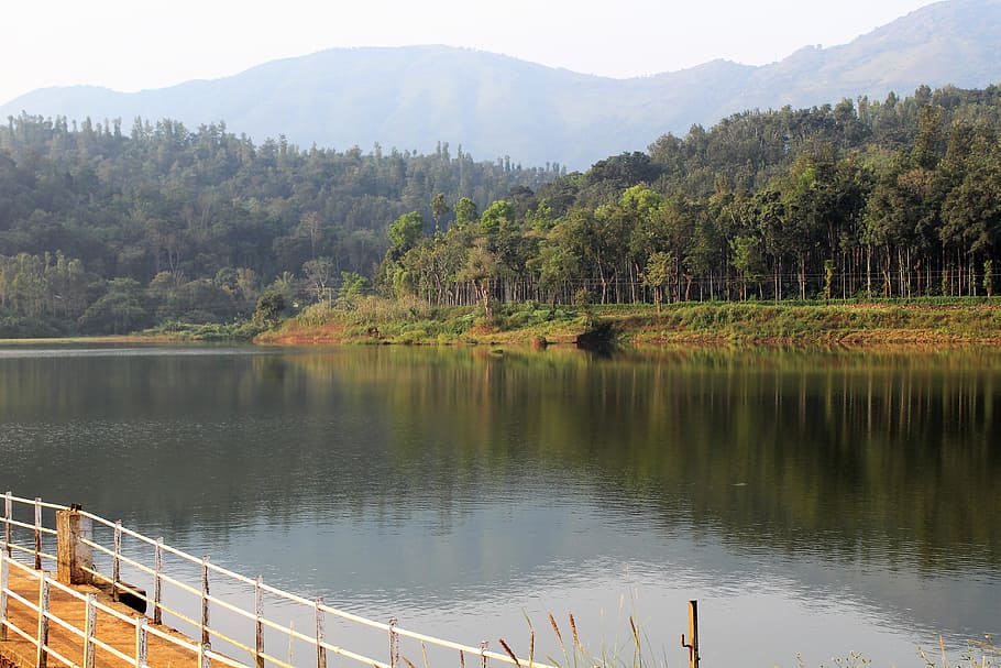 body of water near green trees, scene, reflection, waterscape HD wallpaper