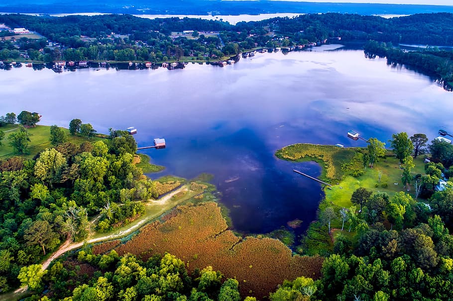 aerial view of lake and trees, Lake Guntersville, Guntersville, Alabama, HD wallpaper