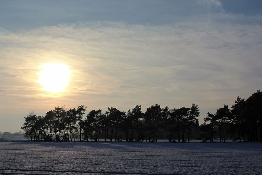 wintry, winter, landscape, snow, snowy, winter magic, evening sky HD wallpaper
