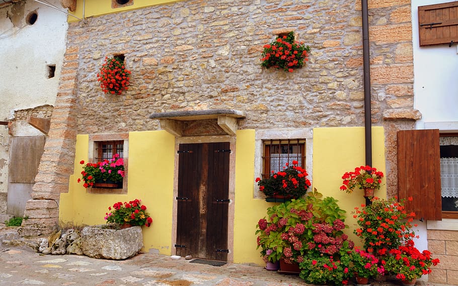 facade, flowers, windows, house, faye, building exterior, architecture HD wallpaper