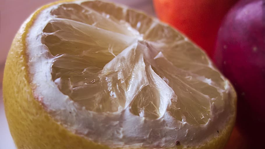 lemon, eating, fruit, nature, the richness of, tropical fruit HD wallpaper
