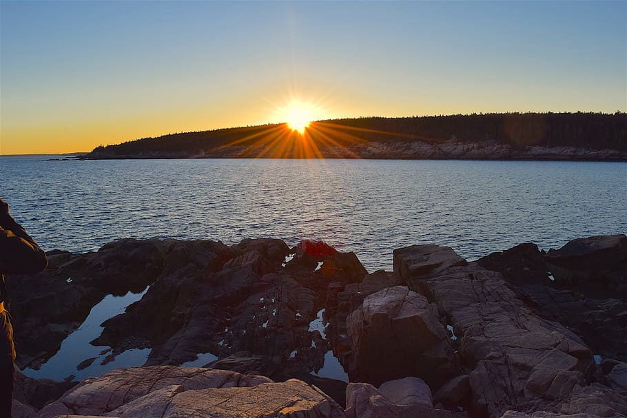sunset, rocks, water, pine trees, maine, nature, landscape HD wallpaper